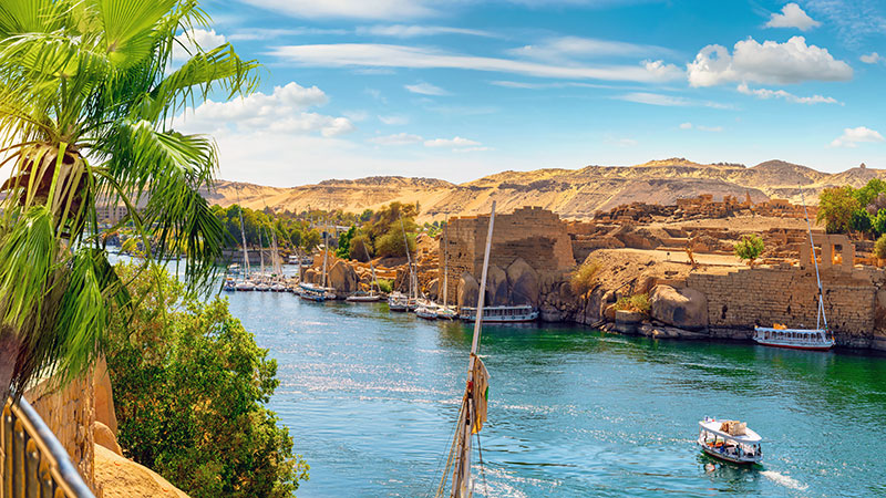 Philanthropic Endeavors - Nile